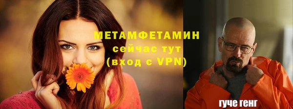 ешки Пересвет
