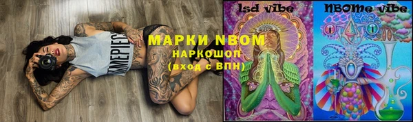 PSILOCYBIN Алзамай