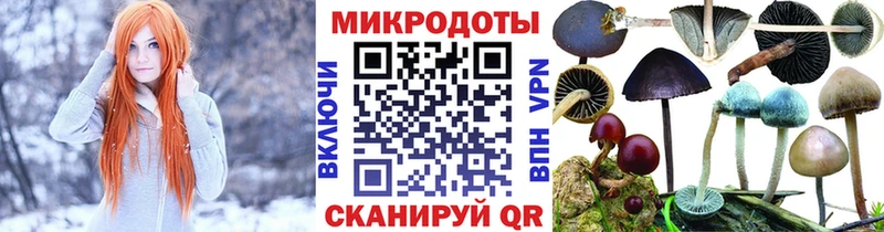 blacksprut маркетплейс  Магнитогорск  Галлюциногенные грибы Psilocybine cubensis  где купить наркоту 